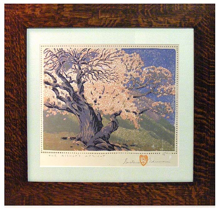 Bishop's Apricot