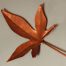 Copper Sweet Gum Leaf Bonus Gift