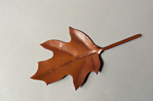 Bonus Hydrangea Leaf