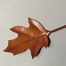 Bonus Hydrangea Leaf