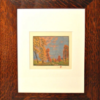 "Indiana Red Gum" Framed Print - We have just TWO left! - Image 2